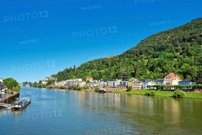 Heidelberg, Germany, June 28th 2024: View over lower Neckar river bank with street and residential buildings in summer with blue sky, Europe