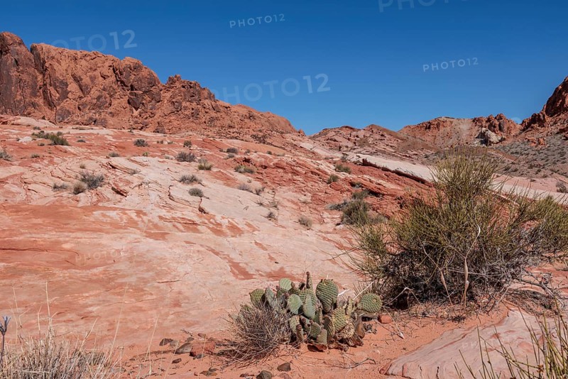 Layered rock formations along the Fire Wave Trail at Valley of Fire State Park near Overton, Nevada