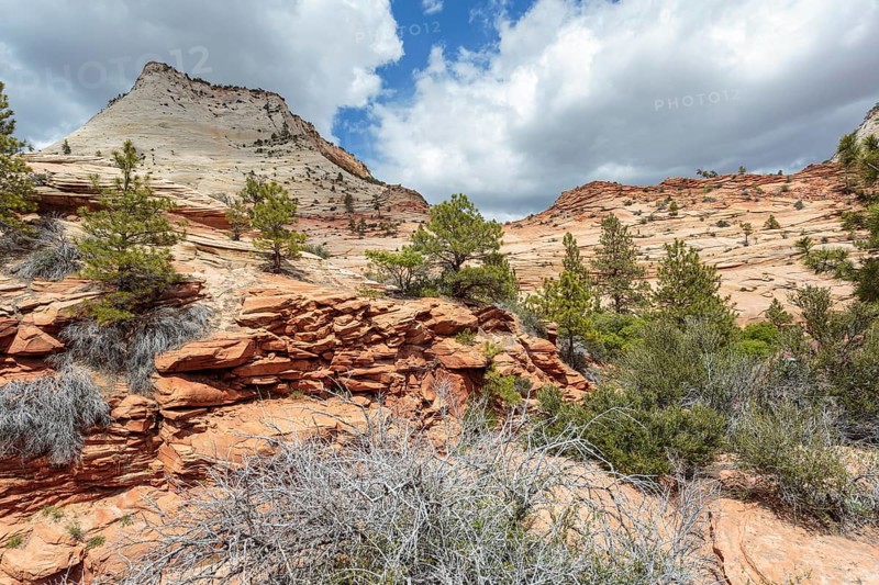 Patterns of erosion on the rock formations in Zion National Park, Utah