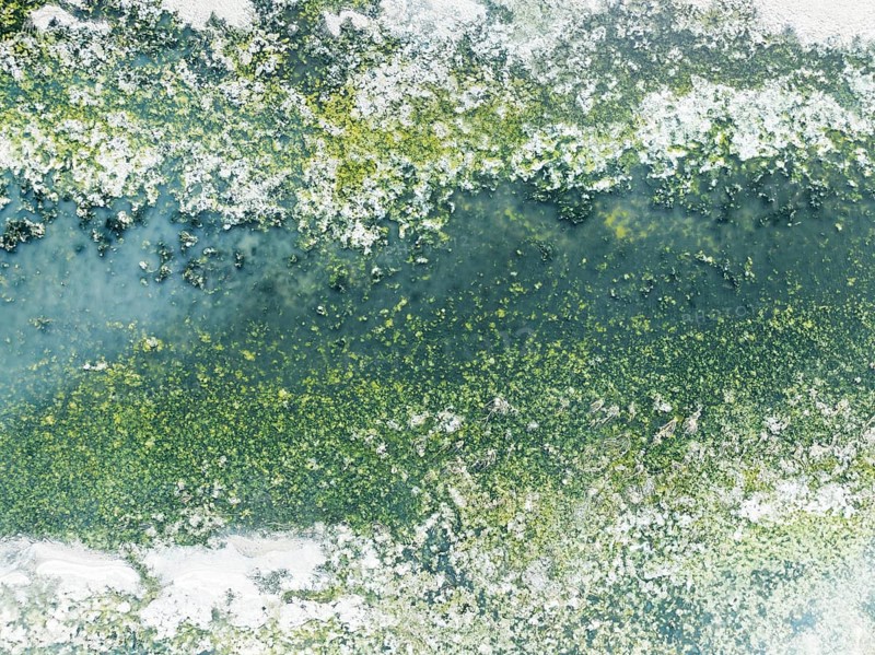 Detail of salt marshes near Sanlúcar de Barrameda. Aerial view. Drone shot. Cádiz province, Andalusia, Spain, Europe