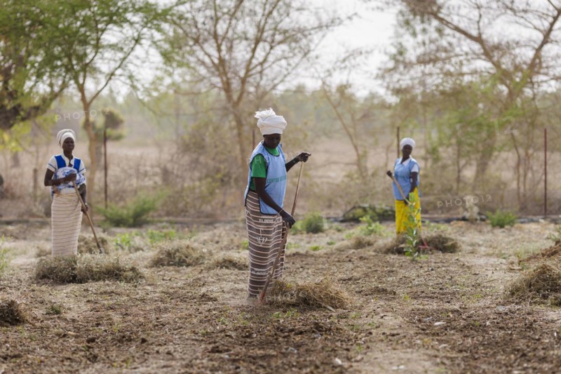 Preparation of fields by farmers during organic farming at the agroecological training centre Centre Beo-Noree in Beo-Noree, 04.03.2024.photographed on behalf of the Federal Ministry for Economic Cooperation and Development