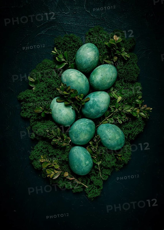 Easter eggs, green, moss, boxwood, top view, no people, green eggs