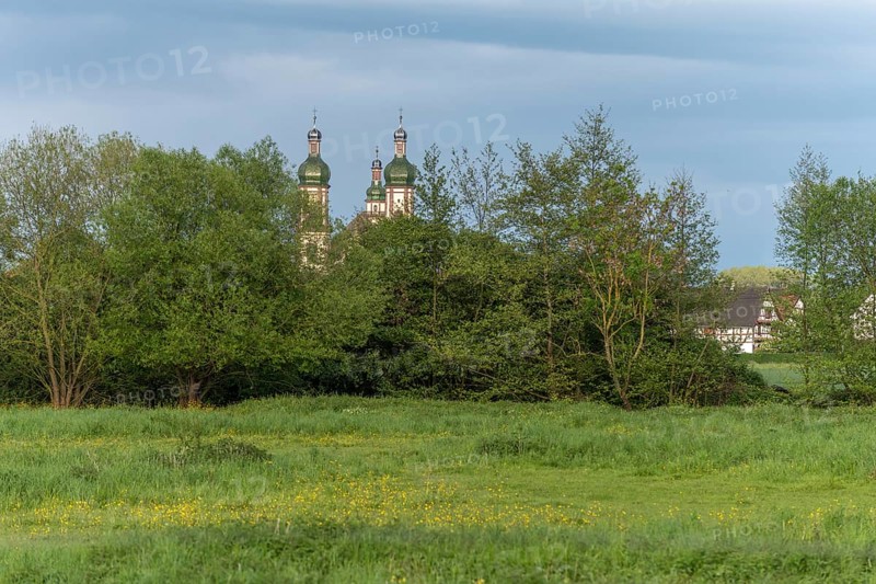 The baroque Saint-Maurice church in Ebersmunster surrounded by meadows in spring. Bas Rhin, Alsace, France, Europe