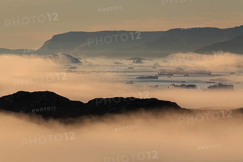 Icebergs and ice floes reflected in the water, fog, summer, midnight sun, Jakobshavn glacier and ice fjord, Ilulissat Kangerlua, Disko Bay, West Greenland, Greenland, North America