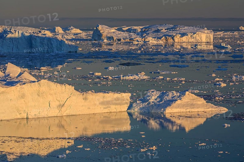 Icebergs and ice floes reflected in the water, summer, midnight sun, Jakobshavn glacier and ice fjord, Ilulissat Kangerlua, Disko Bay, West Greenland, Greenland, North America