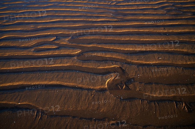 Sand ripples, wavy lines in the sand, structure, sandy beach, Meia Praia beach, Lagos, Atlantic Ocean, evening light, Algarve, Portugal, Europe