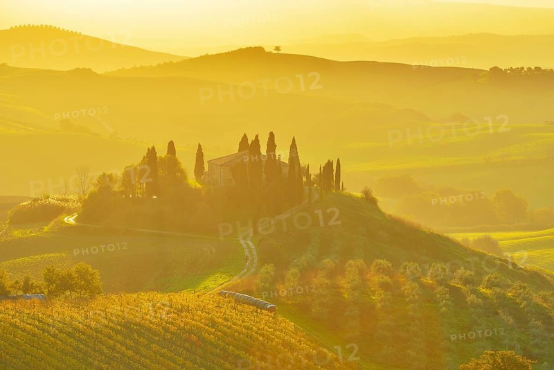 A beautiful countryside scene with rolling hills bathed in golden morning light, featuring a farmhouse surrounded by trees and a misty atmosphere, San Quirico d'Orcia, Val d'Orcia, Provinz Siena, Tuscany, Italy, Europe