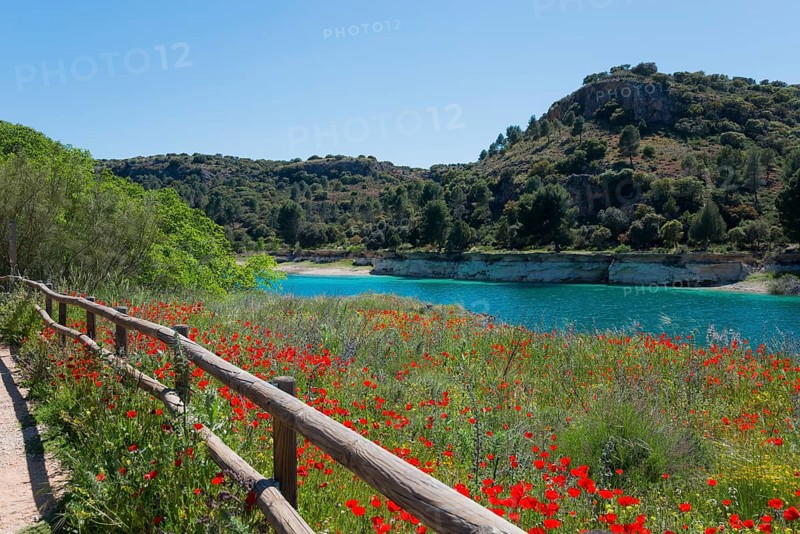 A flower meadow trail overlooking a tranquil lake, lined by a wooden fence and surrounded by hills and trees, Laguna Salvador, Lagunas de Ruidera National Park, Albacete province, Castilla-La Mancha, Spain, Europe