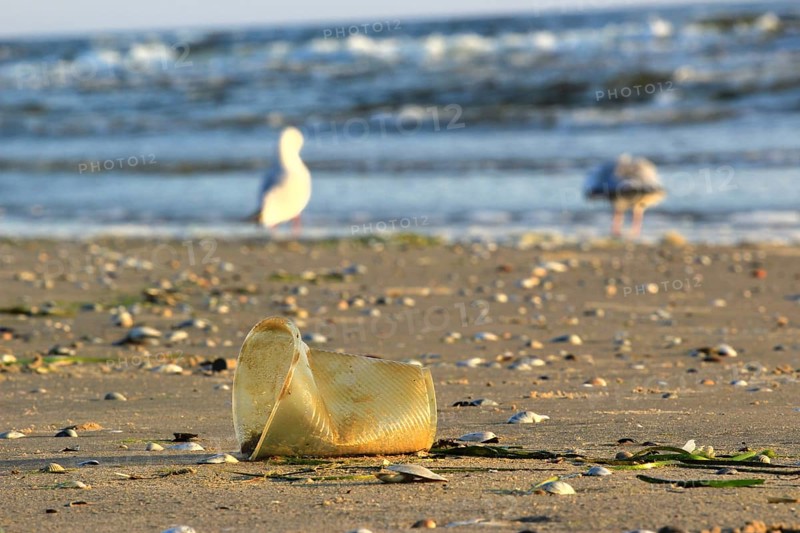 Plastic waste on the beach of the Baltic Sea, September, Germany, Europe