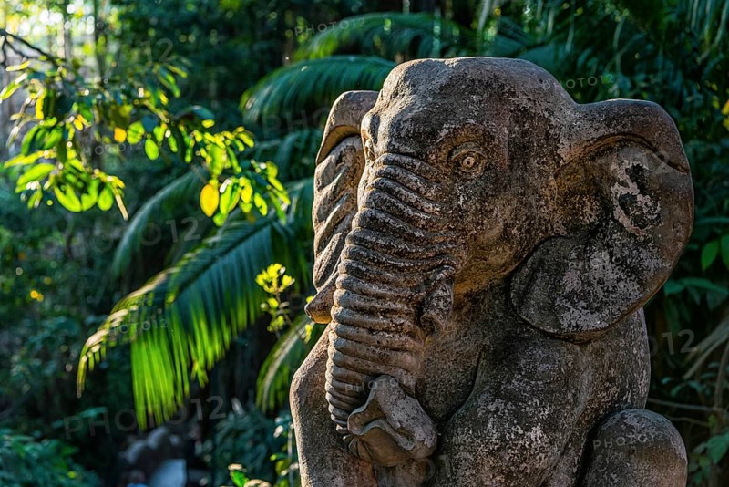Elephant figure, stone, elephant, statue, temple, religion, sculpture, architecture, temple figure, art, culture, figure, decoration, sculpture, fantasy, representation, religious, journey, spirituality, traditional, meditation, mythology, sacred, Asian, Balinese, decorated, wisdom, image, depiction, tradition, garden, stone figure, marble, Ubud, Bali, Indonesia, Asia