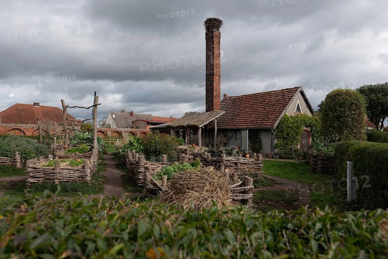 Monastery garden with stork's nest, Jerichow Monastery, considered the oldest brick building in northern Germany, Jerichow, Saxony-Anhalt, Germany, Europe