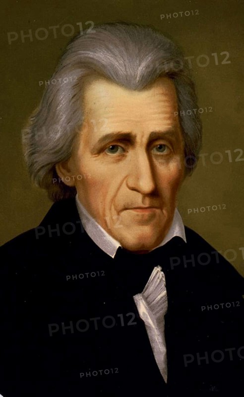 Andrew Jackson (1767-1845), American soldier and seventh President of the United States from 1829 to 1837. portrait