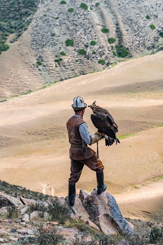 Traditional Kyrgyz eagle hunter hunting in the mountains in a dry landscape, near Kysyl-Suu, Issyk Kul, Kyrgyzstan, Asia