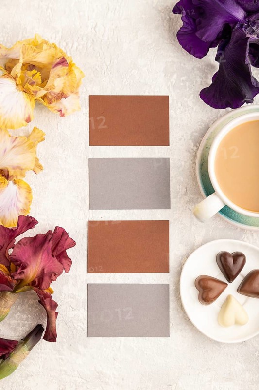 Set of gray and brown business cards with cup of cioffee, chocolate candies, purple and burgundy iris flowers on gray concrete background. top view, flat lay, copy space, still life. Breakfast, morning, spring concept
