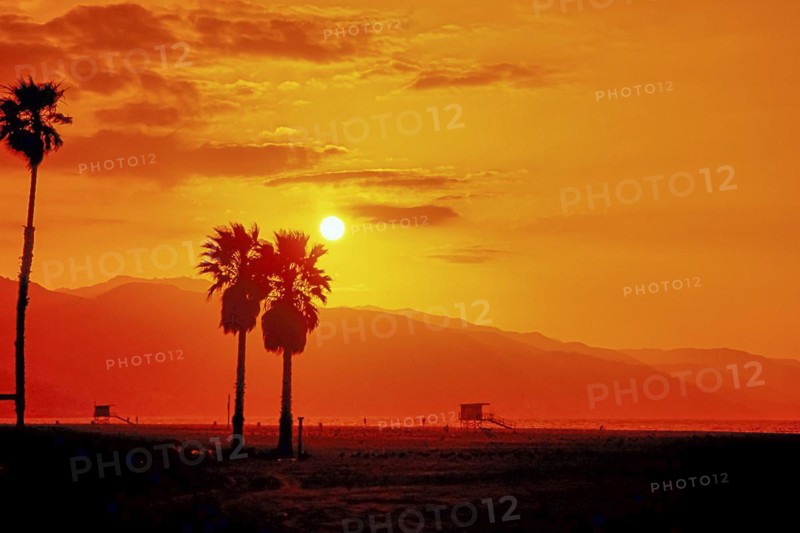 Beverly Hills, Los Angeles, sunset with palm trees, California, USA, North America