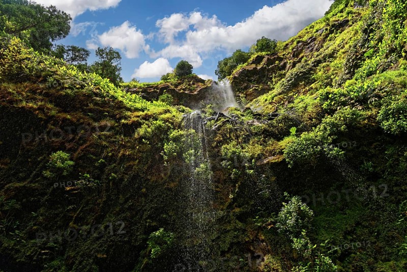 High waterfall falling from green cliffs with lush vegetation and blue sky, Cascata do Grená waterfall, Grena Park, Furnas, George Hayes, Lagoa das Furnas, Sao Miguel Island, Azores, Portugal, Europe