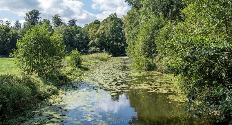 The River Dinkel near Legden, Münsterland, North Rhine-Westphalia, Germany, Europe