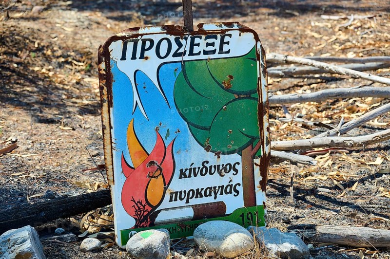 Faded warning sign about fire danger amidst burnt vegetation, forest fires, summer 2023, forest fire damage, Lardos-Laerma road, Rhodes, Dodecanese, Greek Islands, Greece, Europe