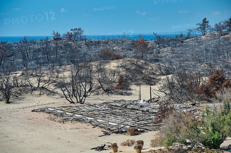 Burnt trees and desolate sand dunes stretch along the sea, forest fires, summer 2023, forest fire damage, Lardos Bay, near Kiotari, Rhodes, Dodecanese, Greek Islands, Greece, Europe