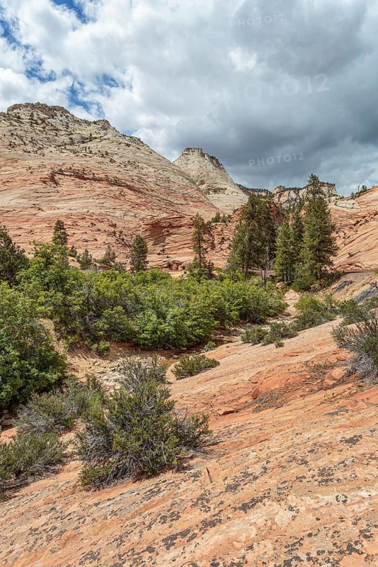 Patterns of erosion on the rock formations in Zion National Park, Utah