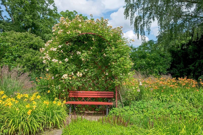 Red bench in the district educational garden, Burgsteinfurt, Münsterland, North Rhine-Westphalia, Germany, Europe