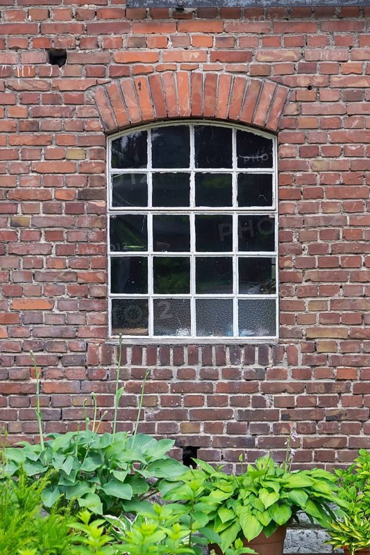 Brick wall with arched window, stable window and lush green plants in front, North Rhine-Westphalia, Germany, Europe