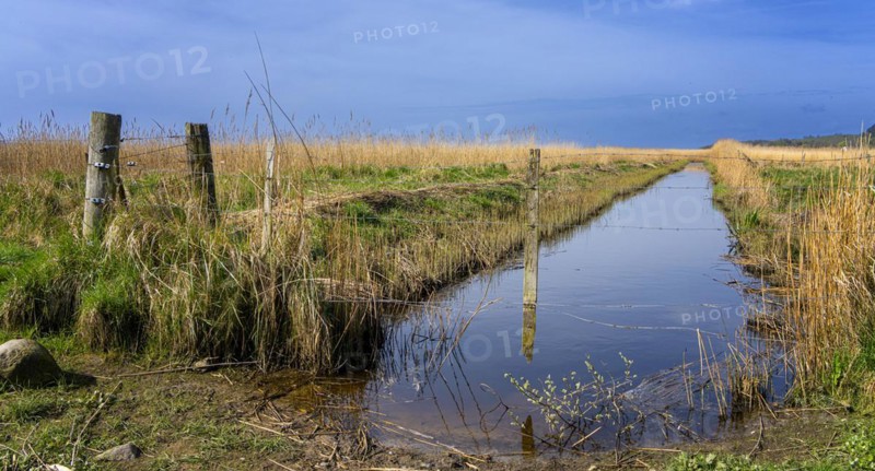 Fence with wooden stakes on the Bodden on Rügen, Mönchgut peninsula, Mecklenburg-Western Pomerania, Germany, Europe