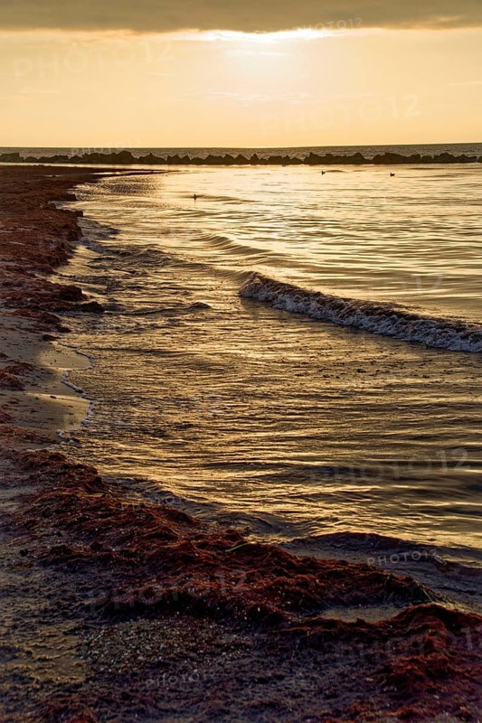 Sunset on the Baltic Sea beach, Wustrow beach in the evening light with clouds, evening mood, Baltic seaside resort Wustrow, Fischland-Darß-Zingst peninsula, Mecklenburg-Western Pomerania, Germany, Europe
