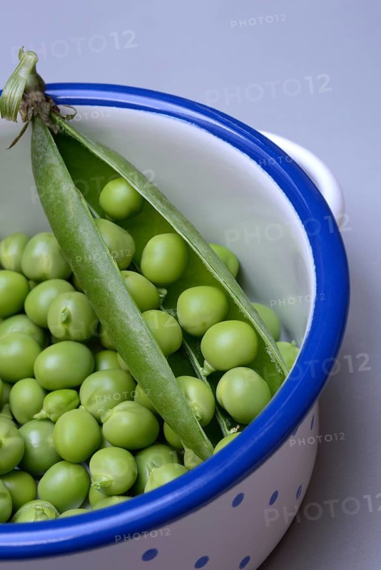 Fresh green peas and pea pod in pot, Pisum sativum