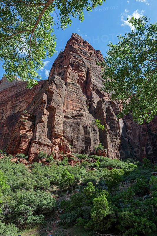 Rugged sandstone rock formation along the Weeping Rock Trail in Zion National Park, Utah