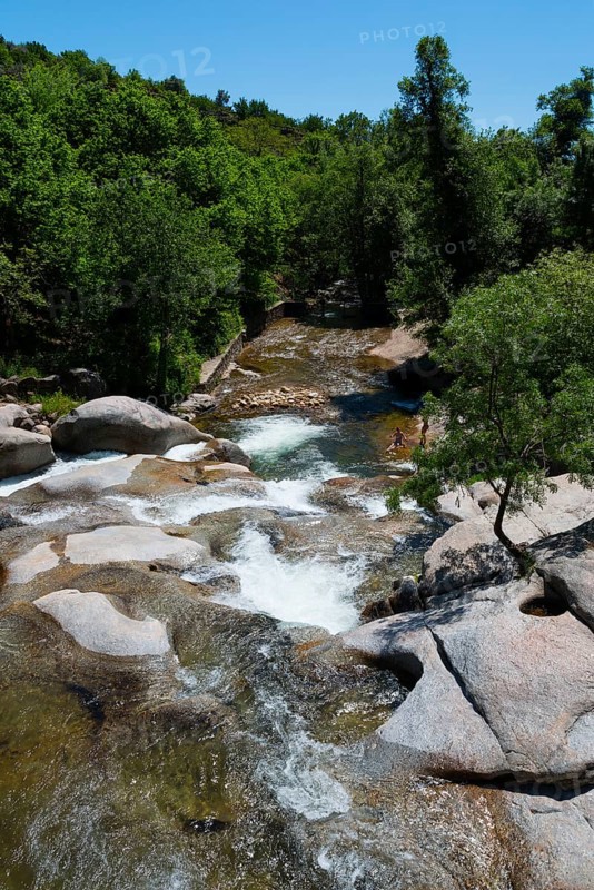 A picturesque river flowing over rocks, surrounded by green trees on a sunny day, Piscina natural, natural pool, Garganta la Olla, Sierra de Tormantos, Cáceres, Caceres, Extremadura, Spain, Europe
