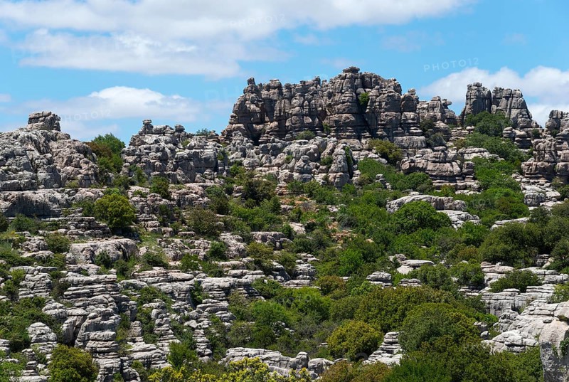 Dense rock formations with green vegetation, above a blue sky with scattered clouds, karst mountains, Torcal Alto, El Torcal de Antequera, Sierra del Torcal, Malaga, Andalusia, Spain, Europe