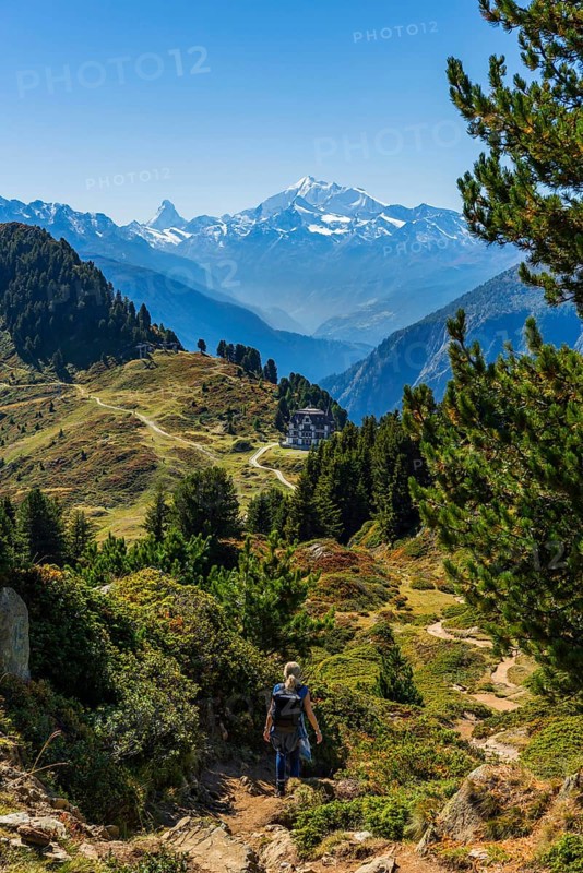 Hiking on the Moranenweg, Riederalp, tourism, hiking, hike, blue sky, Matterhorn, Aletsch Arena, Valais, Switzerland, Europe
