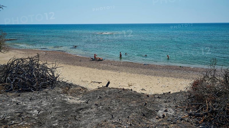 Beach scene with people in the sea, surrounded by burnt vegetation at the edge, a contrast between recreation and devastation, forest fires, summer 2023, forest fire damage, Kiotari, Rhodes, Dodecanese, Greek Islands, Greece, Europe