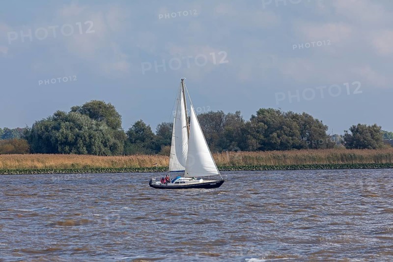 Sailing boat near Glückstadt, Elbe, Schleswig-Holstein, Germany, Europe