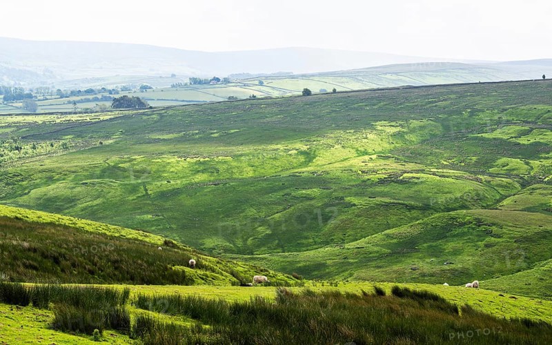Farms over North Pennines, Cumbria, Durham, Northumberland, North Yorkshire, England, United Kingdom, Europe