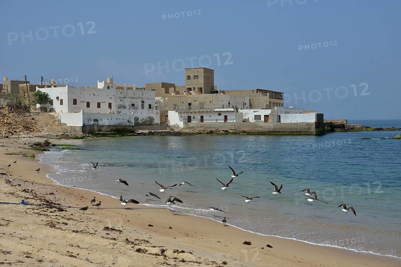 Townscape, Mirbat, Dhofar Region, Orient, Oman, Asia