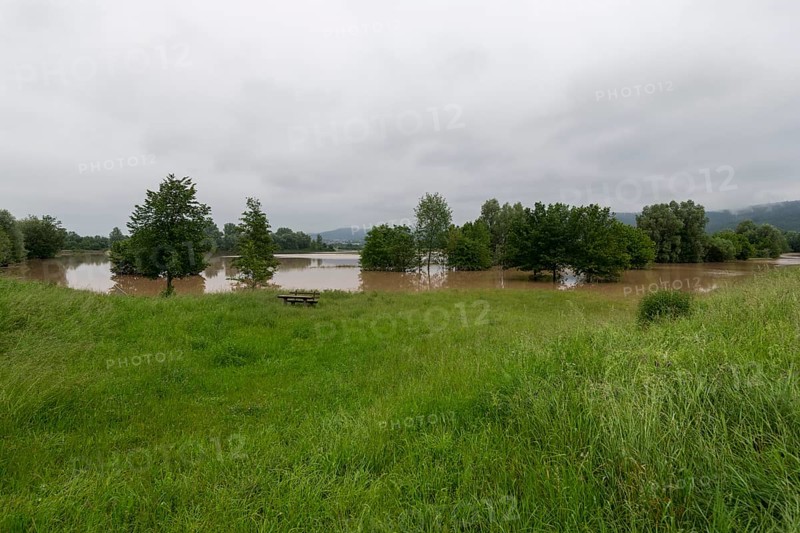 Symbolic image extreme weather, global warming, climate change, flood retention basin, flood protection, flooded meadows, deciduous trees, Rems valley, Winterbach, Rems river, Baden-Württemberg, Germany, Europe