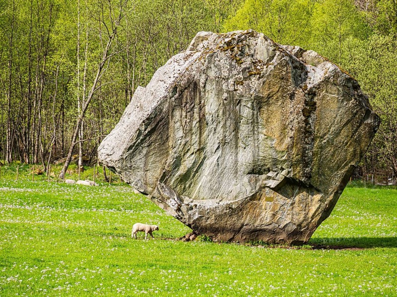 Single large rock Oddmundsteinen on farmland, greasing sheep, spring, south of Odda at the Hardangerfjord, Hardanger, Norway, Europe