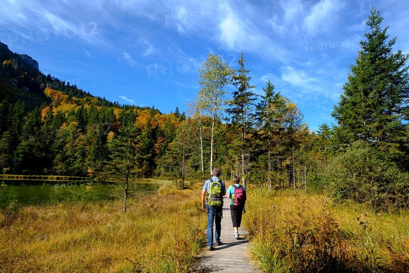 Hikers at the Frillensee near Inzell, Chiemgau, Upper Bavaria, Bavaria, Germany, Europe