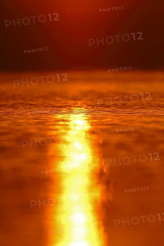 The sun's play of light in the water at sunset on the Trebel River, Peene Valley River Landscape nature park Park, Mecklenburg-Western Pomerania, Germany, Europe