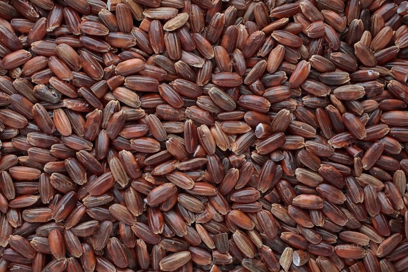Red rice, Camargue rice from France, rice variety with a red bran layer, usually offered as brown rice, wholemeal product, the rice gets its red colour from the anthocyanin content in its bran layer