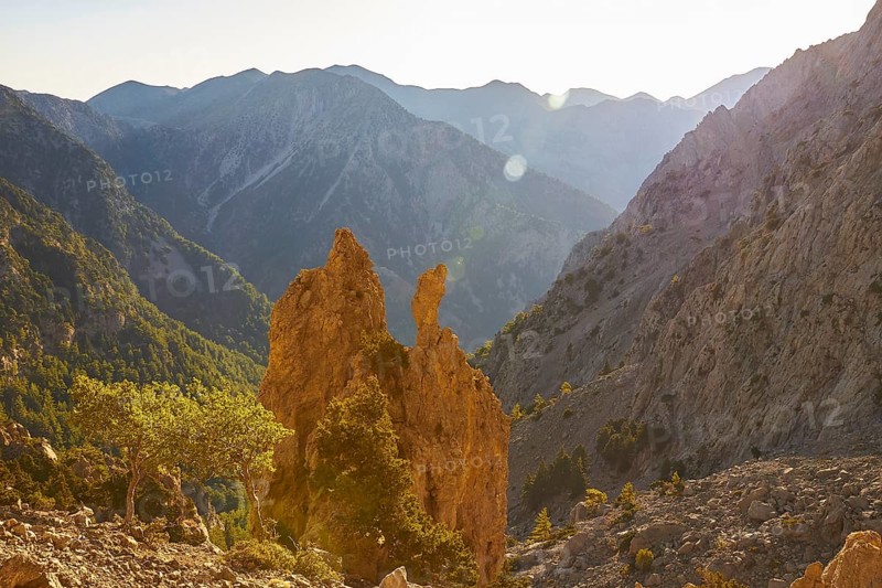 Jagged Rock, Small Trees, Gingilos, Hiking on the Gingilos, Morning Light, Backlight, Sunbeams, Samaria Gorge, Omalos, Lefka Ori, White Mountains, West Crete, Crete Island, Greece, Europe