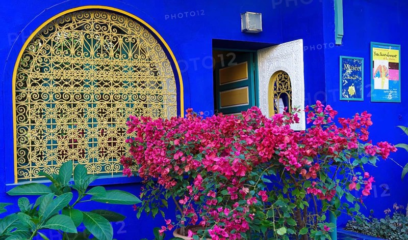 Morocco, Jardin Majorelle Botanical Garden in Marrakech, Africa