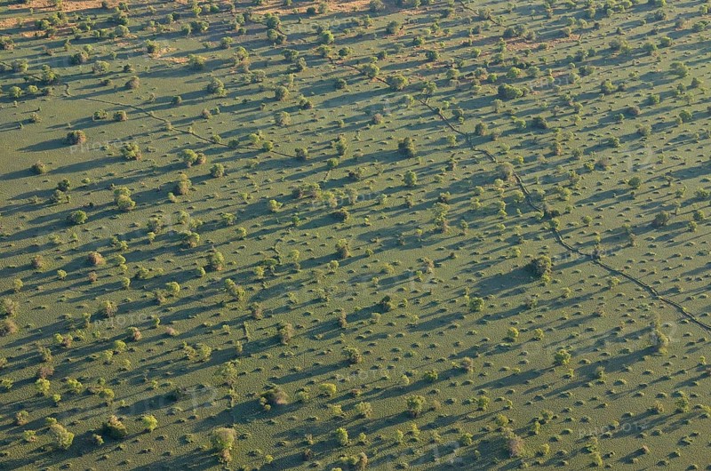 Aerial view, landscape in morning light, Bangweulu swamps, Luapula Province, Zambia, Africa