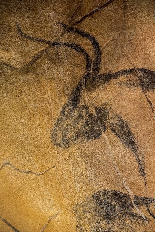 Replica of prehistoric rock paintings of the Chauvet Cave, Chauvet-Pont-d'Arc Cave, Ardèche, France, showing extinct animal aurochs (Bos primigenius) bull, Europe