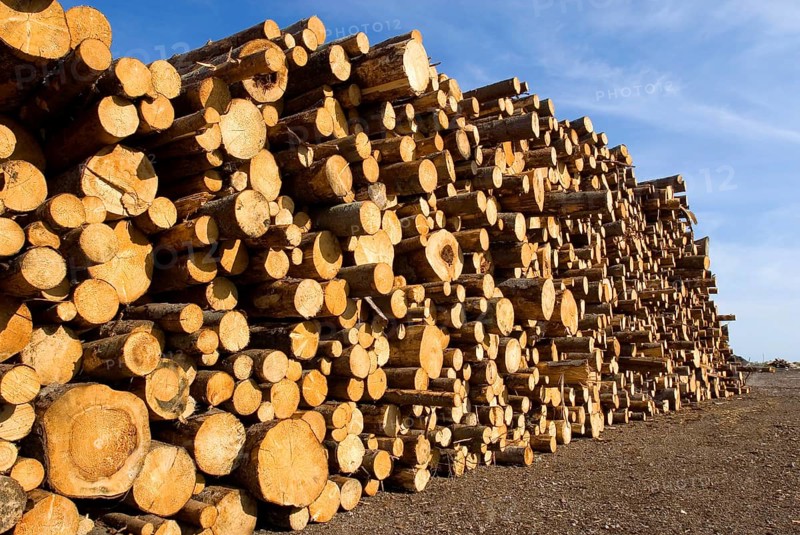 Sawdust and wood piles, stacked, wood, forestry, industry, sawmill in Sweden