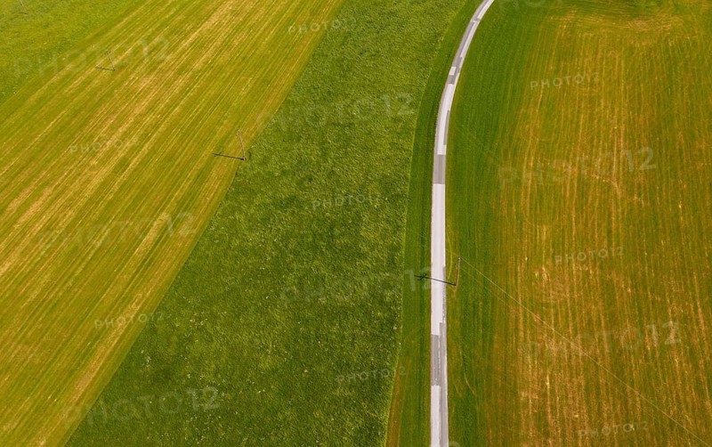 Drone shot, road leads through mown meadows, from above, structure, agriculture, agricultural landscape, Oberhofen, Hausruckviertel, Upper Austria, Austria, Europe