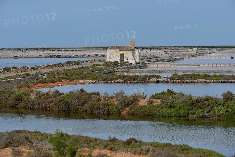 Ses Salines saltworks, near Sant Francesc d'Estany, Ibiza, Balearic Islands, Spain, Europe