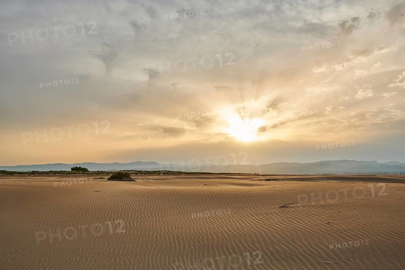 Beach "Platja del Fangar", sand dunes, Vegetation, nature reserve, ebro delta, Catalonia, Spain, Europe